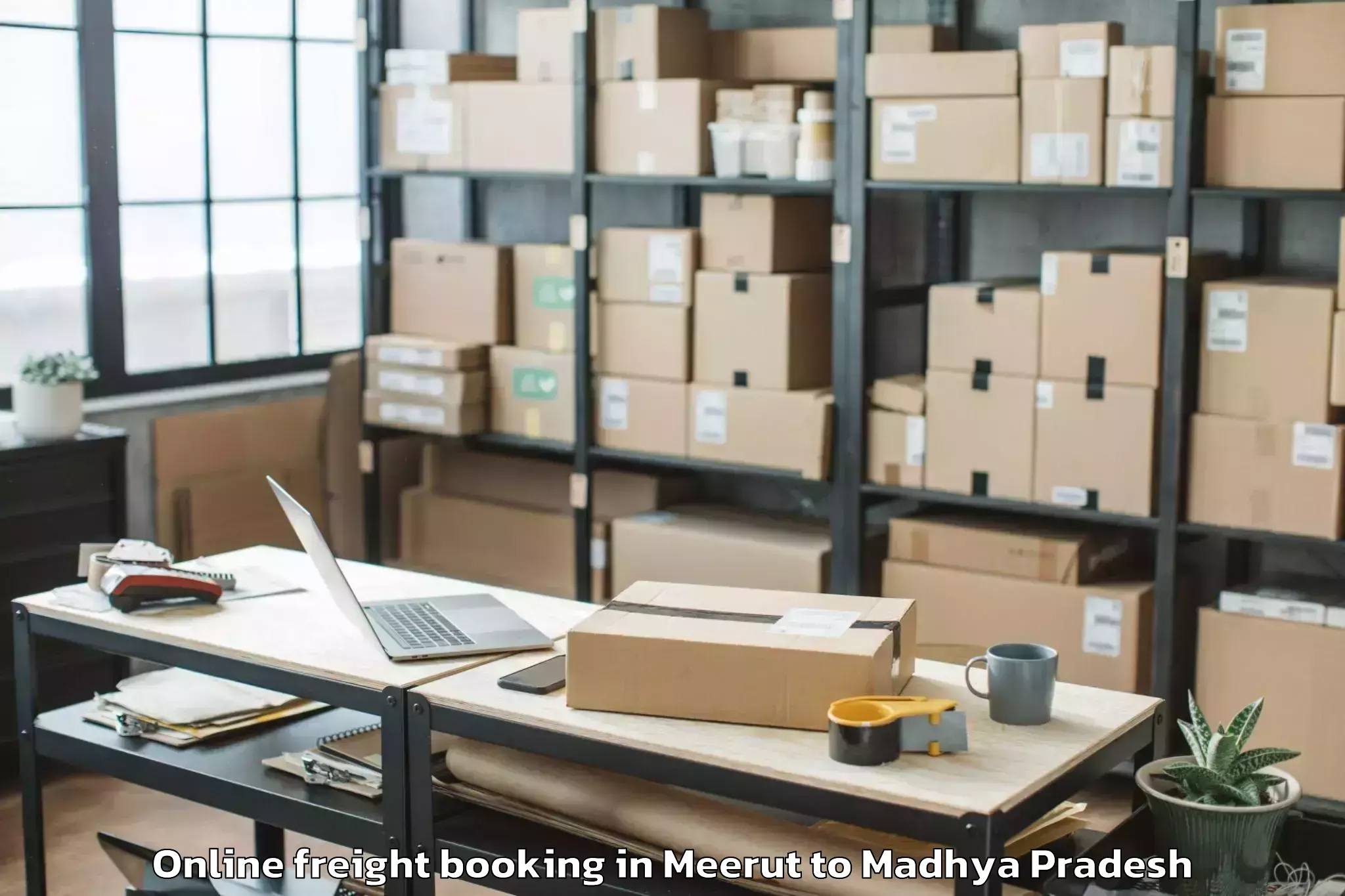 Expert Meerut to Jabera Online Freight Booking